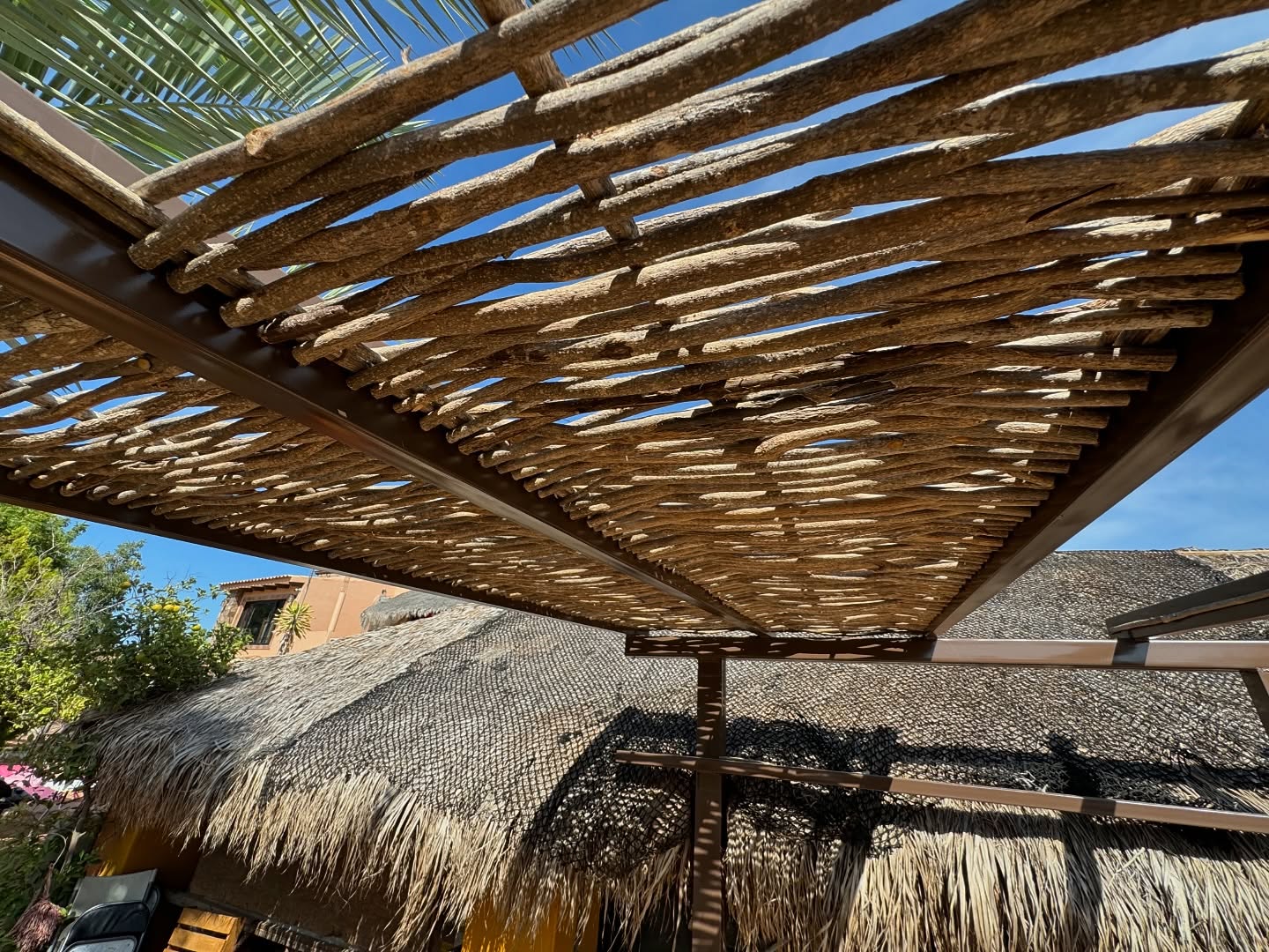 Muestra Palo de Arco